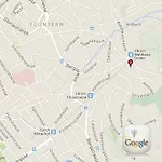 فندق Dolder Waldhaus 4*