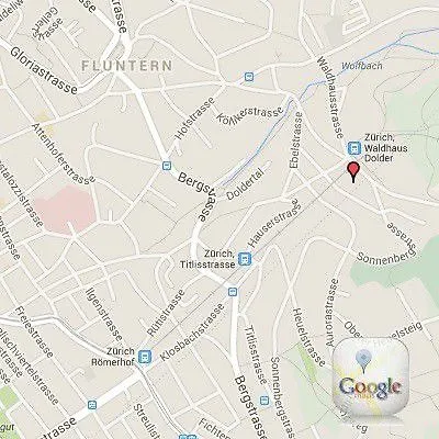 فندق Dolder Waldhaus 4*